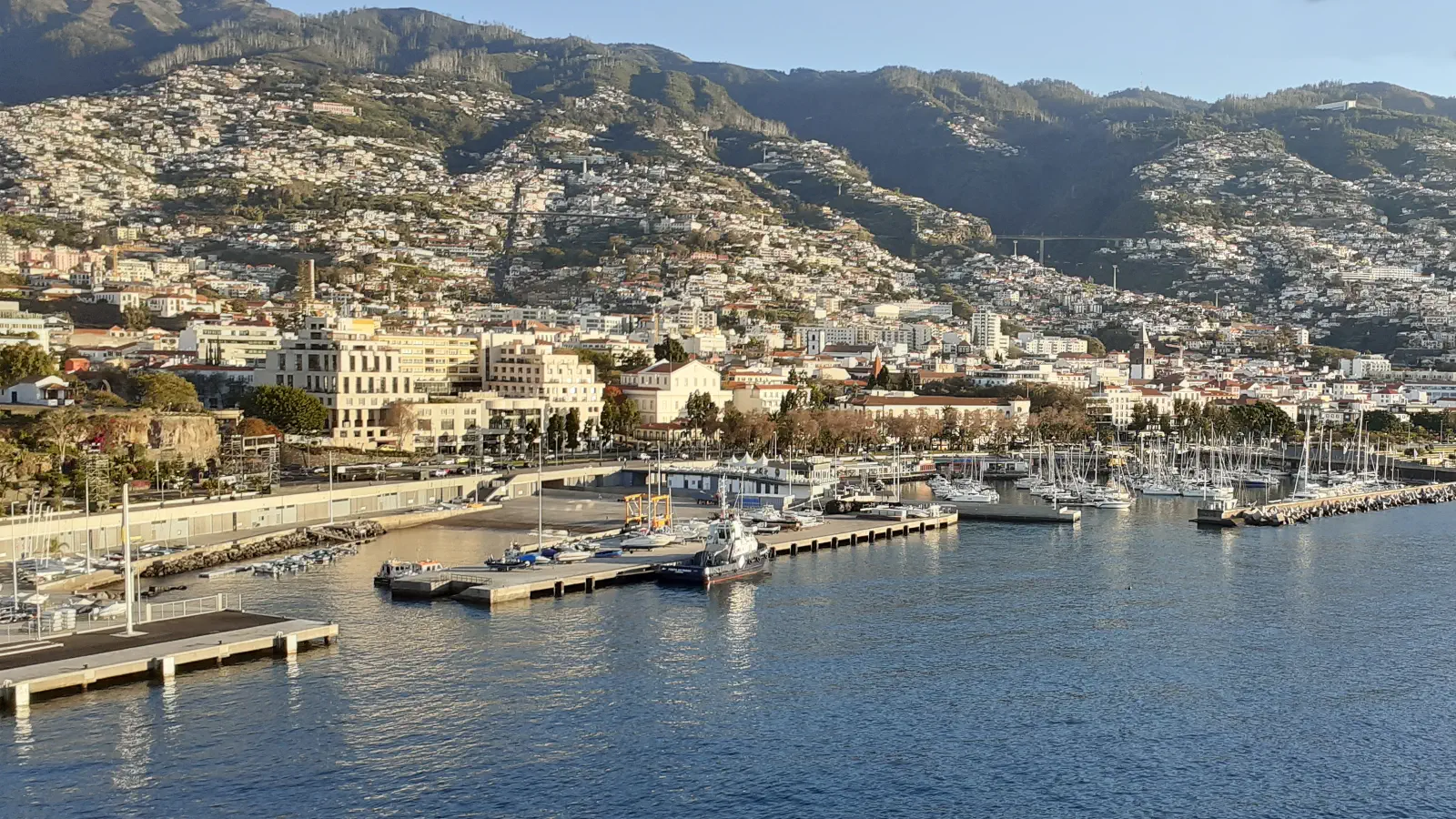 Vy över hamnstaden Funchal på ön Madeira.