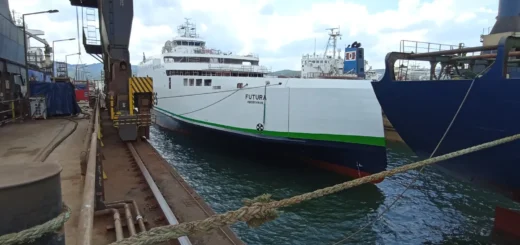 Scandlines färja THE BALTIC WHALE (Futura) vid Cemre-varvet.